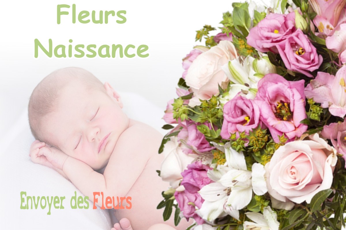 lIVRAISON FLEURS NAISSANCE à VERS-EN-MONTAGNE